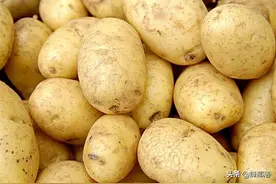 富含胡萝卜素的土豆问世，种子比芝麻粒小，产量达6000斤，新发明图片