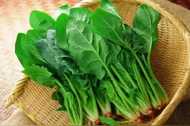 春天吃菠菜不能乱吃，记住“1吃3不吃”原则，弄明白再吃不错事图片