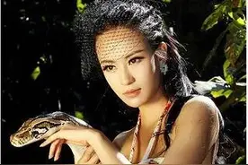 中国唯一的蟒蛇图片