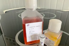 细胞培养无小事（一）图片