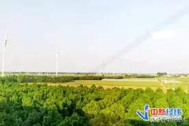 650亿！农业巨无霸冲击上市，会引发“抽血效应”吗？图片