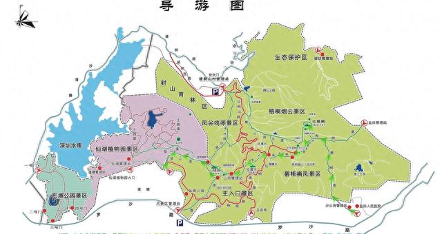 梧桐山旅游攻略(爬大梧桐山最佳路线)