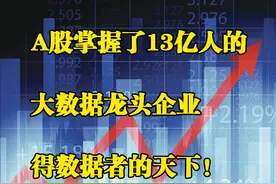 A股掌握13亿人的大数据龙头企业，得数据者得天下？图片