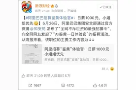 阿里招“鉴黄师”上热搜：日薪上千，一般人扛不住图片