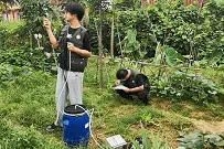 在肇庆，有一个“与臭为伍”的职业！他们用鼻子揪出“真凶”……图片