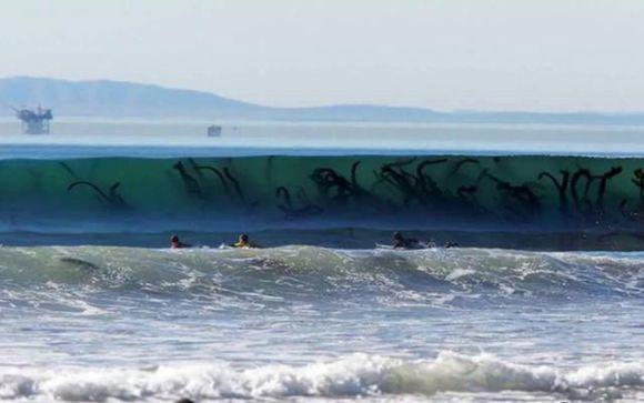 深海恐惧症并不是没有道理