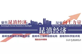 及时雨！自贸试验区昆明片区科技中小企业喜提房租补贴图片