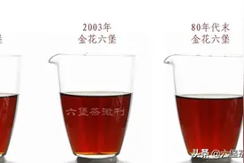 干货：如何辨别广西六堡茶的真实年份？（建议收藏）图片
