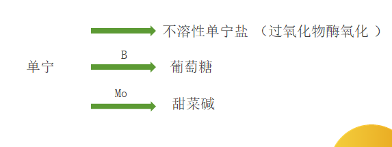很多人对柑橘着色、增甜一知半解！掌握原理，才能根本解决问题