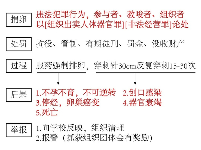 取卵后喝板栗花胶乌鸡汤吗 取卵后喝板栗花胶乌鸡汤吗有影响吗