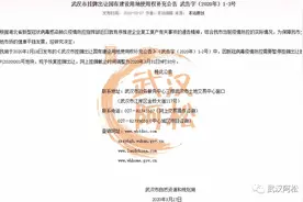 重磅开门红！四新火了！武汉复活了！金茂拿下方岛130万方大盘！图片
