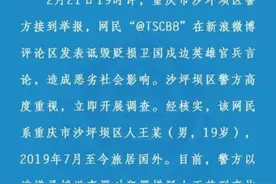 在境外侮辱烈士的王靖渝究竟什么背景？图片