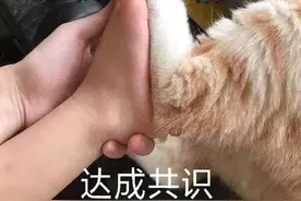 表情包｜你这么可爱，说什么都对图片