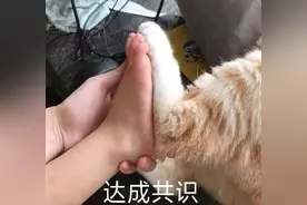 表情包｜你这么可爱，说什么都对图片