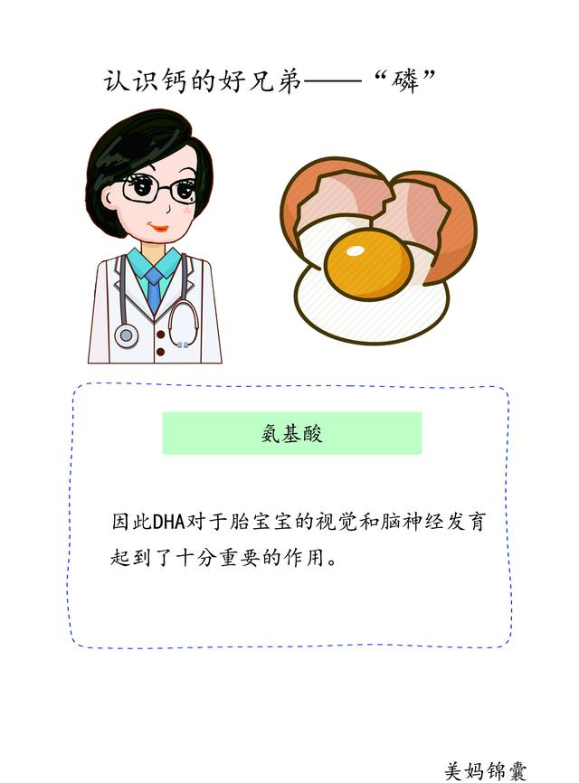 孕期必备营养素之氨基酸和DHA