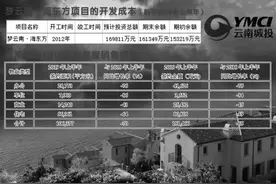 公司 | 云南城投海东折戟 旅游地产项目受重挫图片