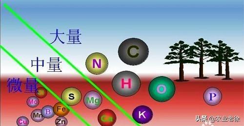 “不能与酸性农药混用”，究竟酸性农药都有哪些呢？一起来看看