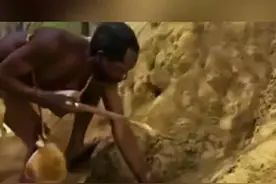 非洲人抓猴子打野，执迷不悟的由来图片