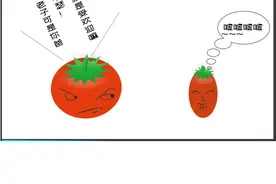 番茄和小番茄谁是“爸爸”？图片