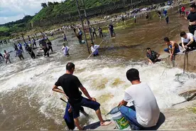 我是抓虾小能手图片