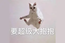 抖音表情包：背景图，热图图片