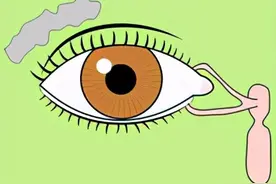 总是流鼻涕，该如何止住呢？图片