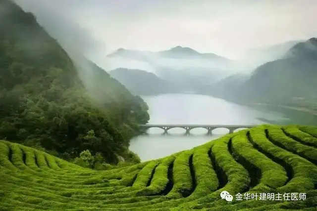 看病找不找熟人的区别，来，曝光一下