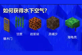 如何在Minecraft获得“水下空气”？大佬：一个甘蔗就能搞定图片