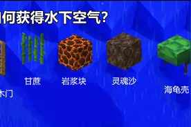 如何在Minecraft获得“水下空气”？大佬：一个甘蔗就能搞定图片