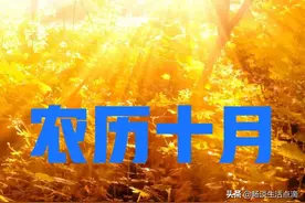 正值农历十月，天气暖和，温暖如春，啥预兆？看老祖宗谚语怎么说图片