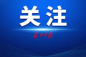 黑社会组织被绳之以法，周围不少事在发生改变图片
