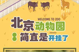 吃垮动物园保姆级攻略来啦图片