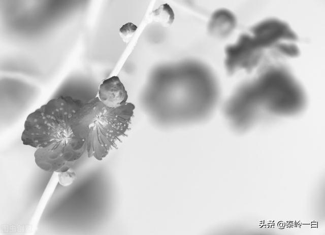 王冕：一个元朝的农民艺术家，一辈子活得又穷又硬气