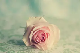 参加同学聚会时，别做以下“四件事”图片