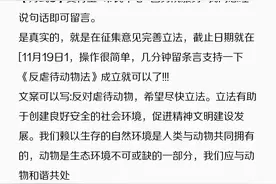 动物保护法终于要出现了图片