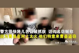 00后团伙装农民工到菏泽一工地碰瓷被抓：因太年轻不像木工而暴露....图片