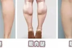 6组数据告诉你自己是胖子还是瘦子图片