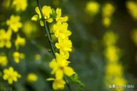 福彩3D2021074期定位分析（上期3码定对百位）图片