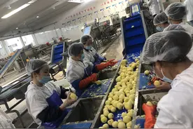 干货 | 捋捋，中央厨房咋回事（入门篇）图片