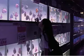 岁月可回首图片