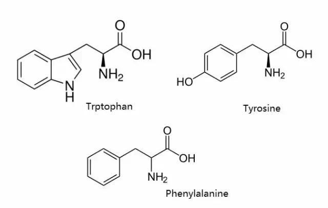 荧光蛋白与发荧光的蛋白，不一样