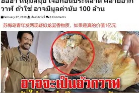 泰国青年海滩捡了块“石头” 放家一年后才惊觉自己将成亿万富翁图片