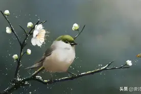 立春，春伊始，万象新图片