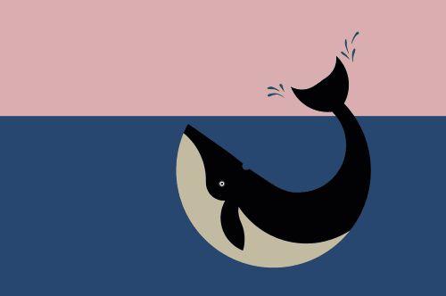 BCAA支链氨基酸的秘密