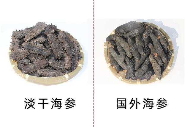 大连淡干海参80头一斤多少钱 2026年大连大菜市淡干海参多少钱一斤
