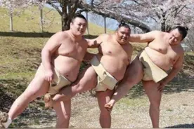 日本相扑手樱花树下拍妩媚写真 看完要打人图片