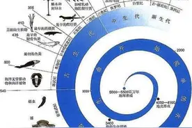 你知道马是怎么睡觉的吗？让我来告诉你图片