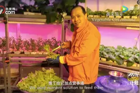 厉害了！中国站在南极种菜，隔壁俄罗斯站来“蹭网”的图片