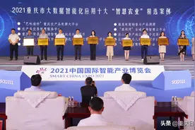 重庆50个智慧应用精选案例出炉图片