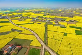 自制蜂具，首次春繁旗开得胜图片